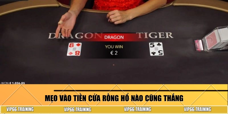 Mẹo vào tiền cửa Rồng hổ nào cũng thắng